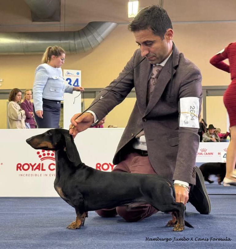 Hamburgo Jumbo X Canis Formula in expo