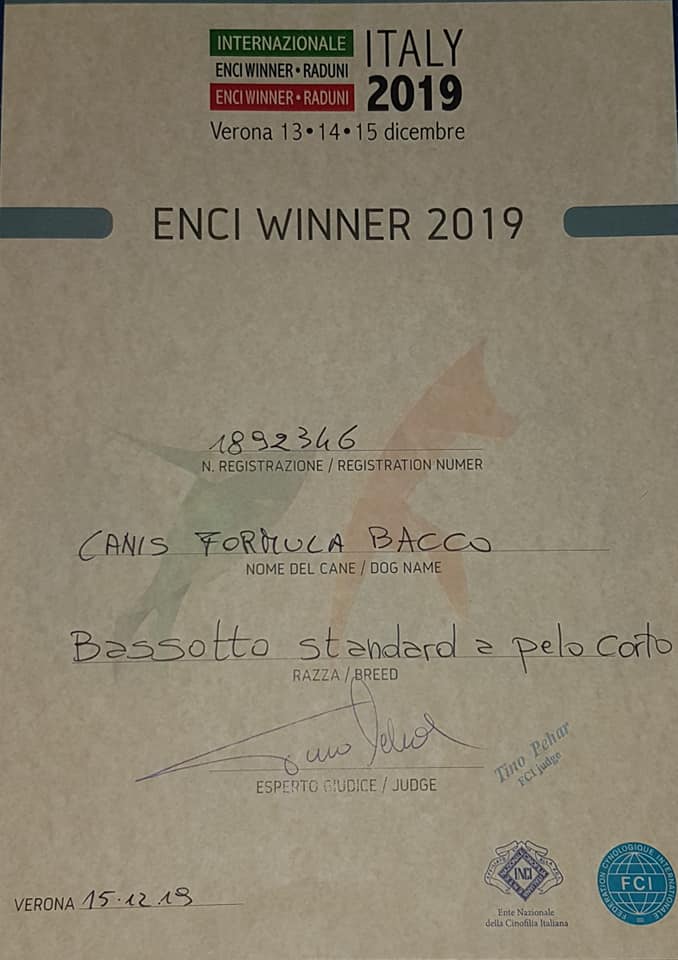 Canis Formula Bacco ENCI WINNER 2019