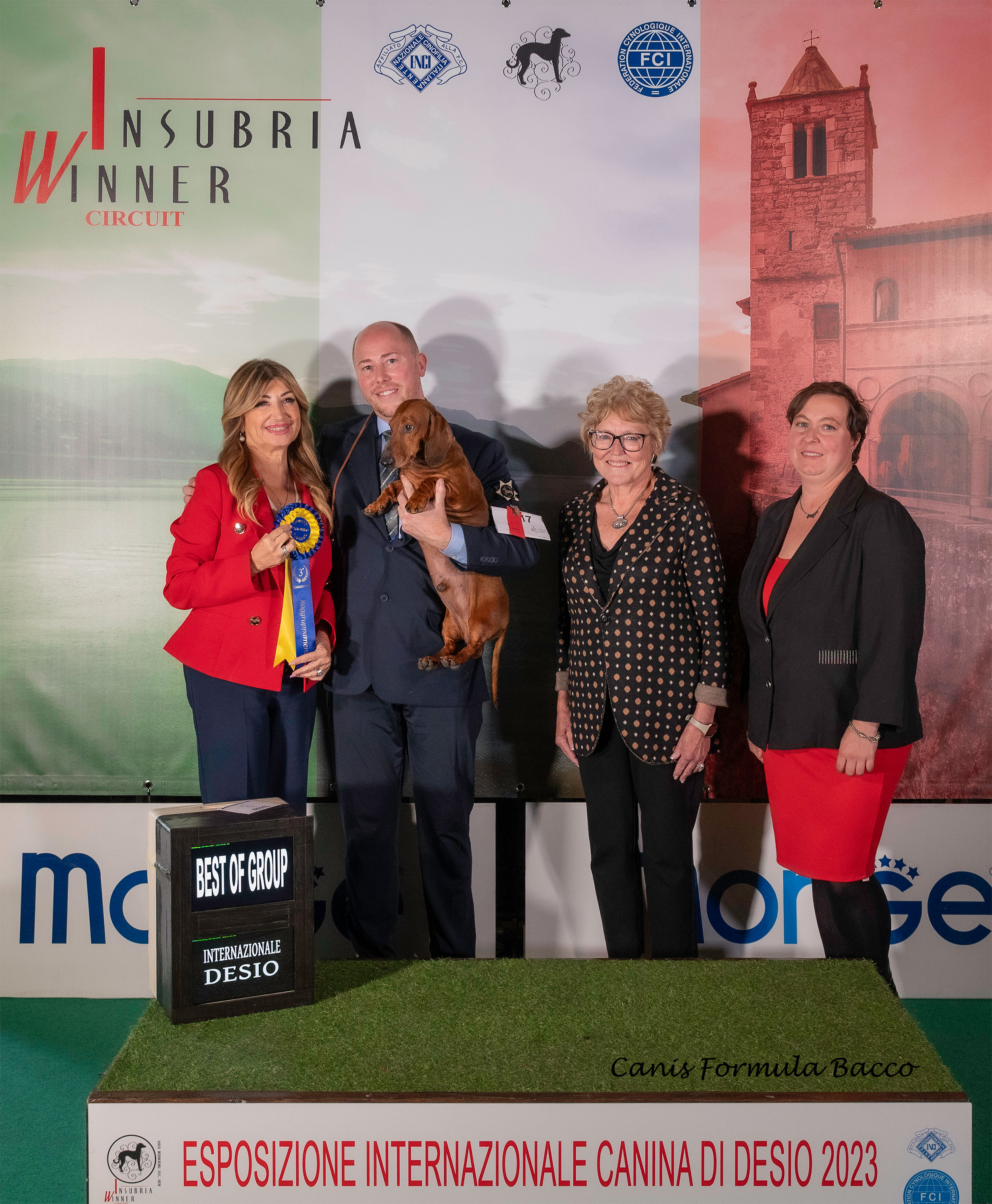 Esposizione Internazionale Desio - Best Of Breed.jpg