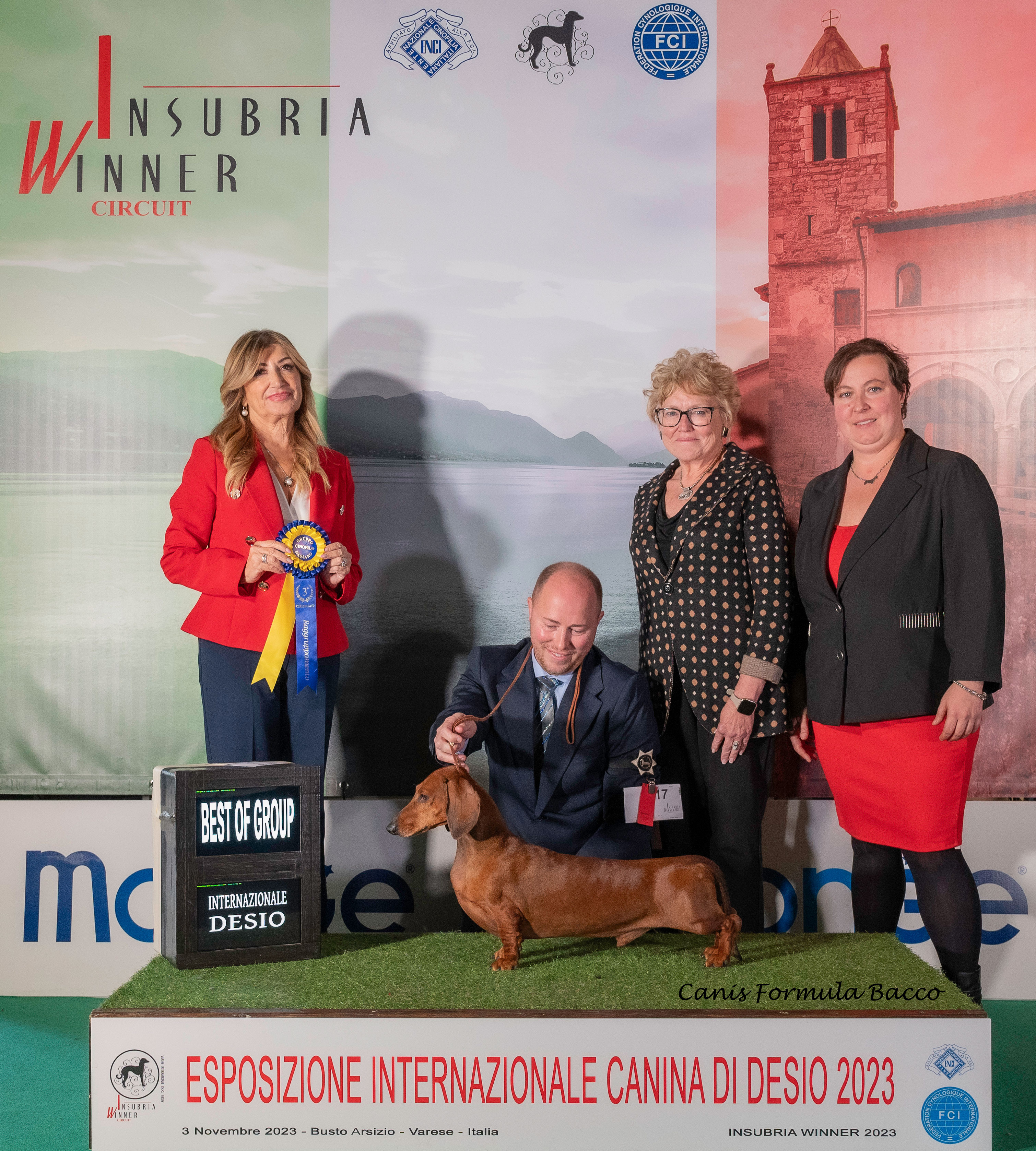 Esposizione Internazionale Desio - Best Of Breed.jpg